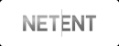 Partener Netend